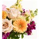 225280_alt1