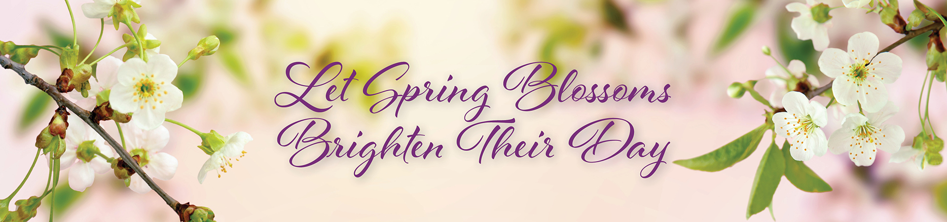 BLN_3961_SPRING_BAN_1920x450